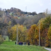 Jesenovanje 2012
